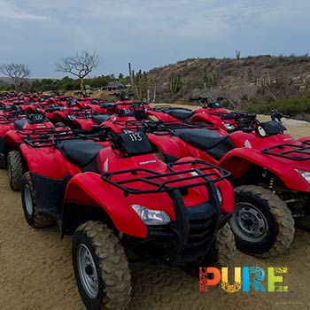 Cabo ATV Tours