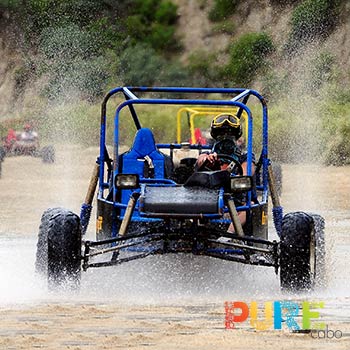 dune buggy tours