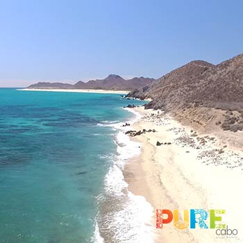East Cape Beaches in Cabo