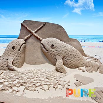 Cabo Sandcastle Builders