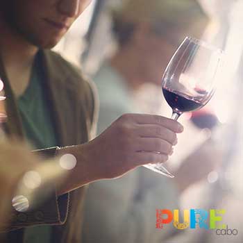 Cabo San Lucas Wine Tastings