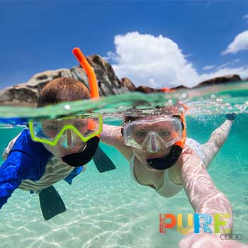 Cabo Snorkeling Tour