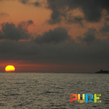 Cabo Sunset Cruise