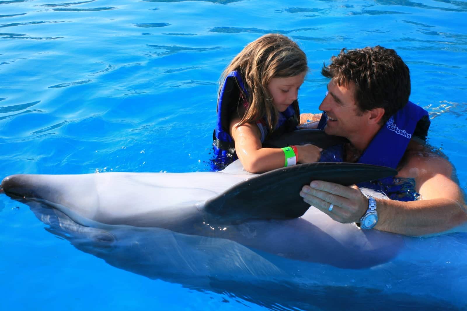 Swim With Dolphins in Cabo
