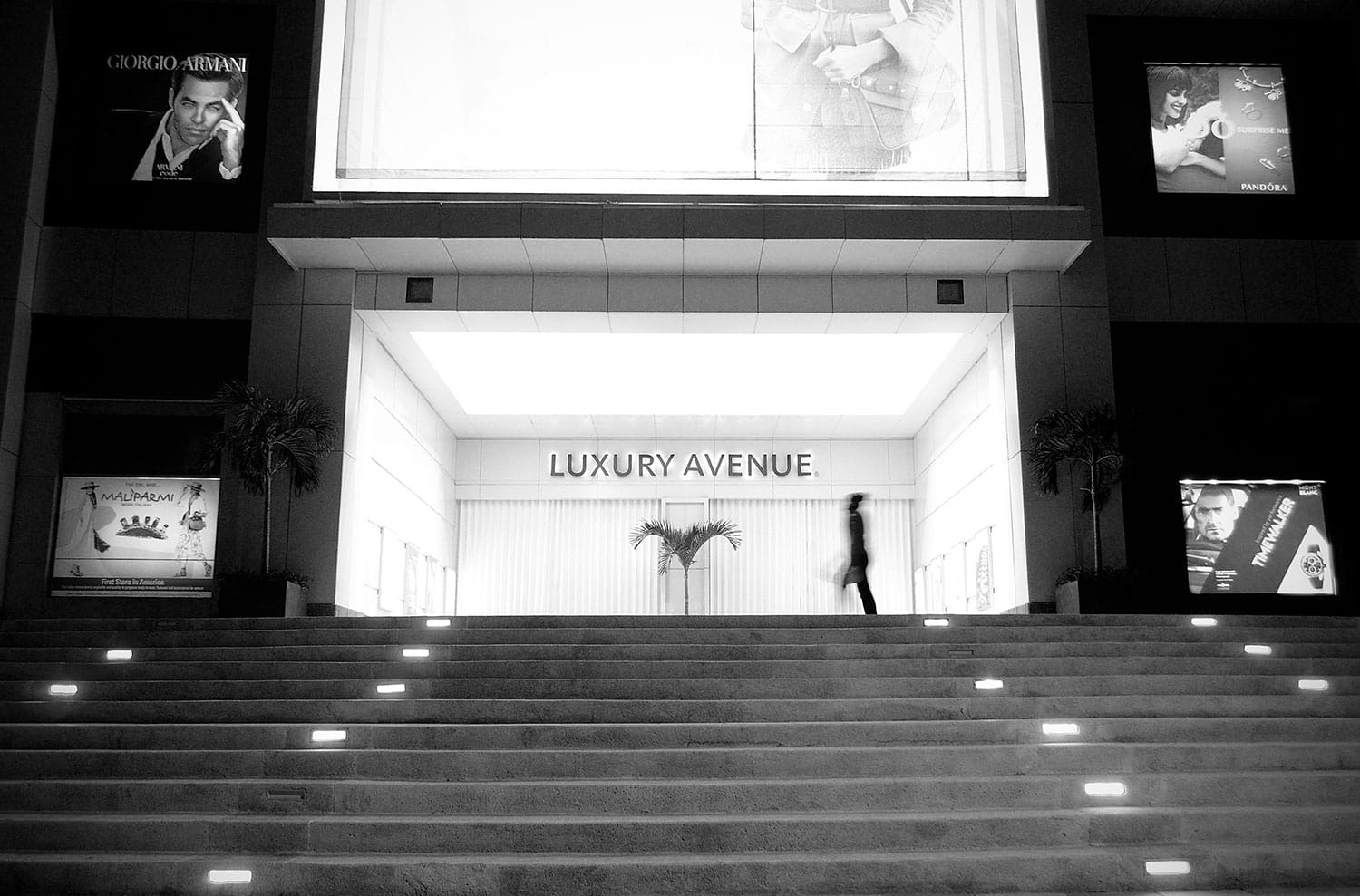Cabo San Lucas Luxury Avenue
