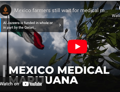 Legal Medical Marijuana in Mexico